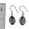 Black Agate Sterling Silver Hook Earrings