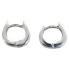 Sterling Silver Hook Earrings