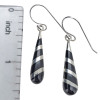 Black Onyx Hook Dangle Earrings