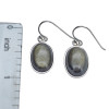 Obsidian Sterling Silver Dangle Earrings
