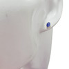 Lapis Sterling Silver Stud Earrings
