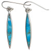 Turquoise Sterling Silver Hook Earrings