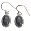 Black Onyx Sterling Silver Hook Earrings