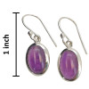 Amethyst Sterling Silver Hook Earrings