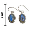 Labradorite Sterling Silver Hook Earrings