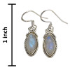 Moonstone Twisted Rope Sterling Silver Hook Earrings