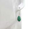 Malachite Teardrop Sterling Silver Hook Earrings