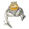 Silver Frog Amber Pin/Brooch/Pendant