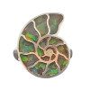 Ammolite Sterling Silver Adjustable Ring