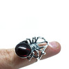 Cherry Amber Spider Adjustable Ring