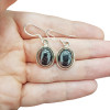Black Onyx Sterling Silver Dangle Earrings ___