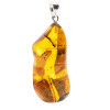 Natural Baltic Amber With Insects Silver Pendant