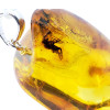 Natural Baltic Amber With Insects Large Pendant