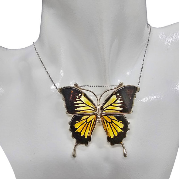 Large Carved Ulysses Butterfly Cameo/Intaglio Pin/Brooch/ Pendant