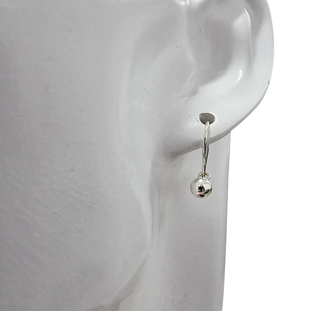 Sterling Silver Hook Earrings