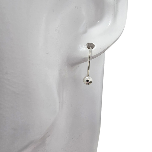 Sterling Silver Hook Earrings