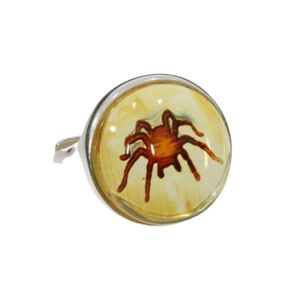 Amber Cameo/Intaglio Adjustable "Spider" Ring