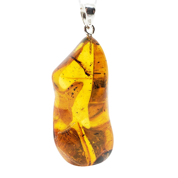 Natural Baltic Amber With Insects Large Pendant