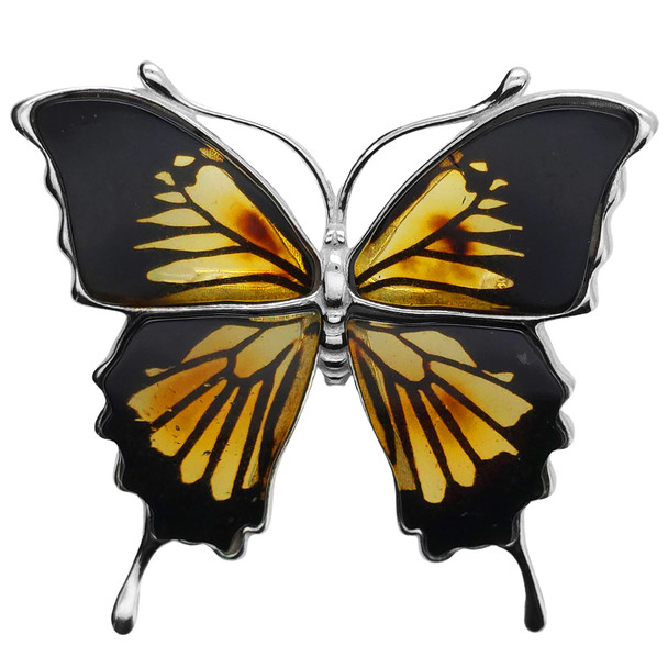 Large Carved Ulysses Butterfly Cameo/Intaglio Pin/Brooch/ Pendant