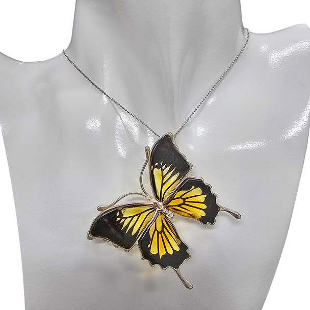 Large Carved Ulysses Butterfly Cameo/Intaglio Pin/Brooch/ Pendant