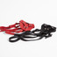 Terra Firma Adjustable Harness