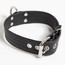 Garment Leather Slave Collar