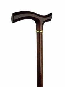 Amber Fritz Walking Cane