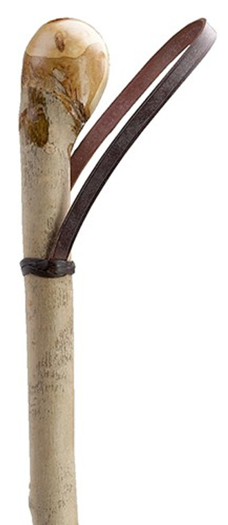 Natural Ashwood Walking Stick with Leather Loop