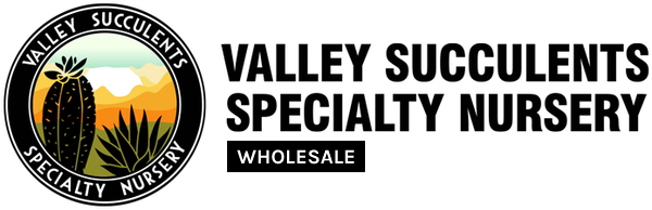 Vally Succulents Wholesale