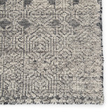 Jaipur Living Reign Abelle REI11 Gray