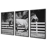 Uttermost Galloping Forward Equine Prints, Set/3