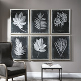 Uttermost Foliage Framed Prints, S/6