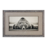 Uttermost Deep Sleep Bear Print