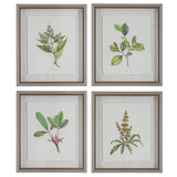 Uttermost Wildflower Study Framed Prints, S/4