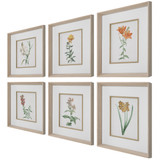 Uttermost Classic Botanicals Framed Prints Set/6