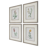 Uttermost Heirloom Blooms Study Framed Prints Set/4