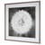 Uttermost Dandelion Seedhead Framed Print