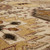 Karastan Bedouin Armada Vanilla 92594-70043