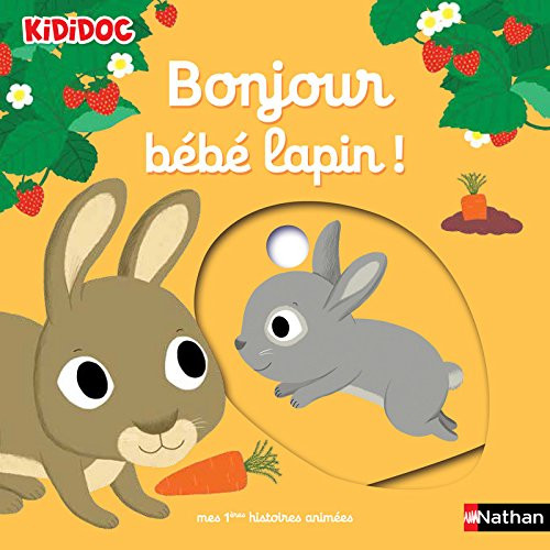 French children's book Kididoc Bonjour petit lapin!