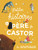 French children's book Petites histoires du pere castor d'animaux