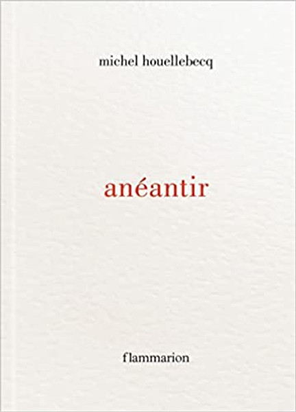 French book Aneantir