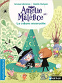 French children book Amelie Malefice - La cabane ensorcelee