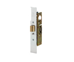 2190-312-103-10B Adams Rite Aluminum Door Deadlocks