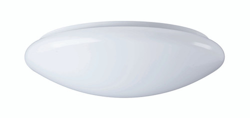 SYL0043426