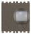 VIW19479.M