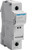 HAGLSN531