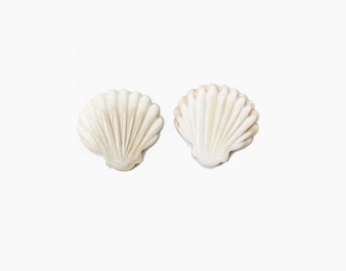 Seashell Stud Seashell Stud