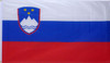 Slovenia Country National Flag