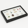 Glass Top Riker Display Case with 4 Secure Pins 12" x 8" x 3/4"H