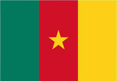 Cameroon Country National Flag